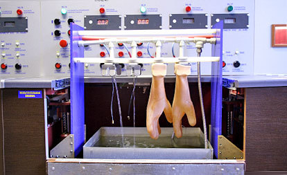 <span style="font-weight: bold;">Испытание средств защиты и трансформаторного масла</span>